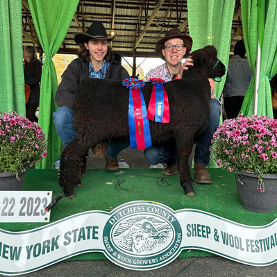 New York Sheep and Wool Festival Grand Champion